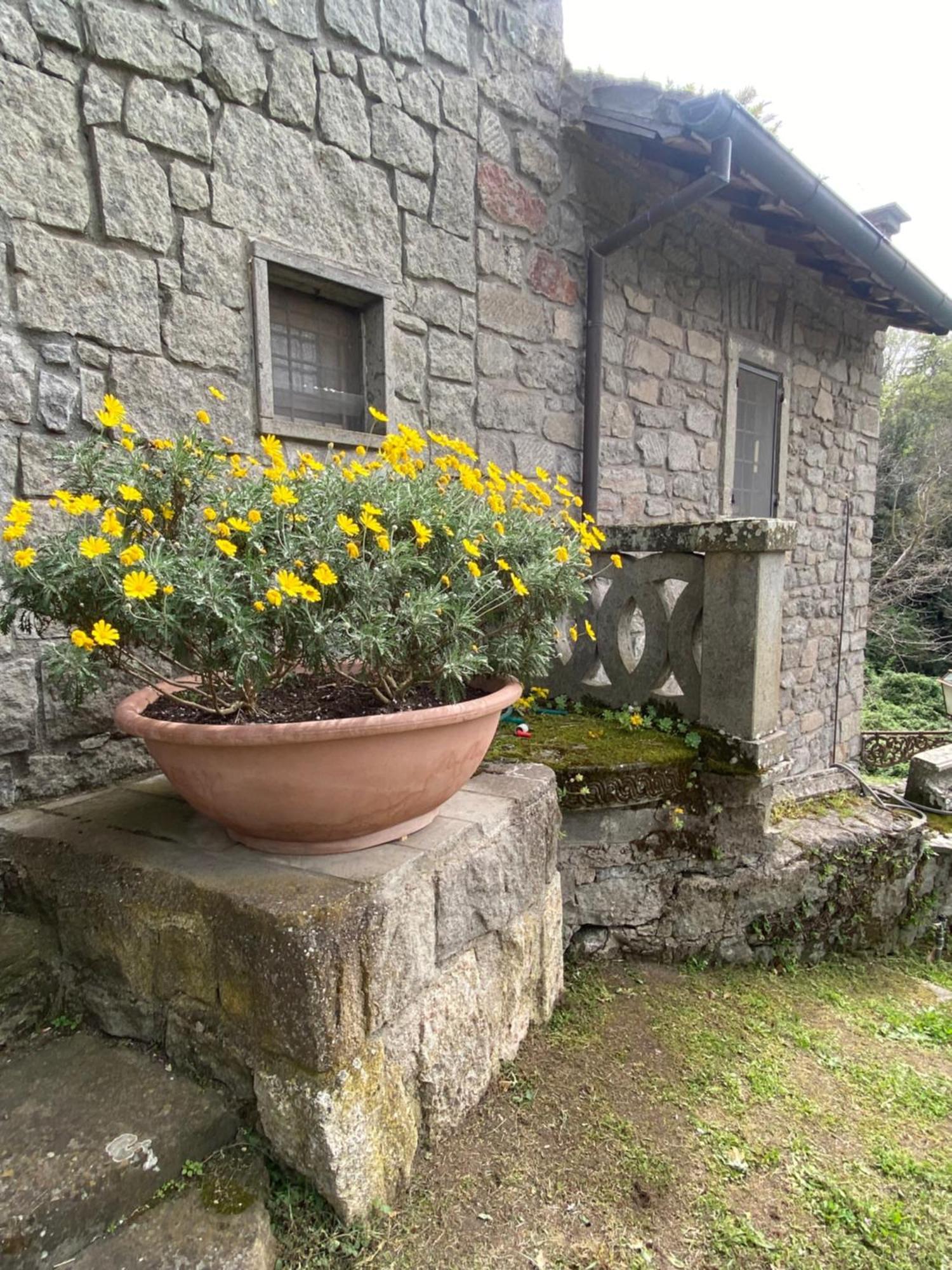 Il Castelletto Della Palanzana Villa Viterbo Exteriör bild