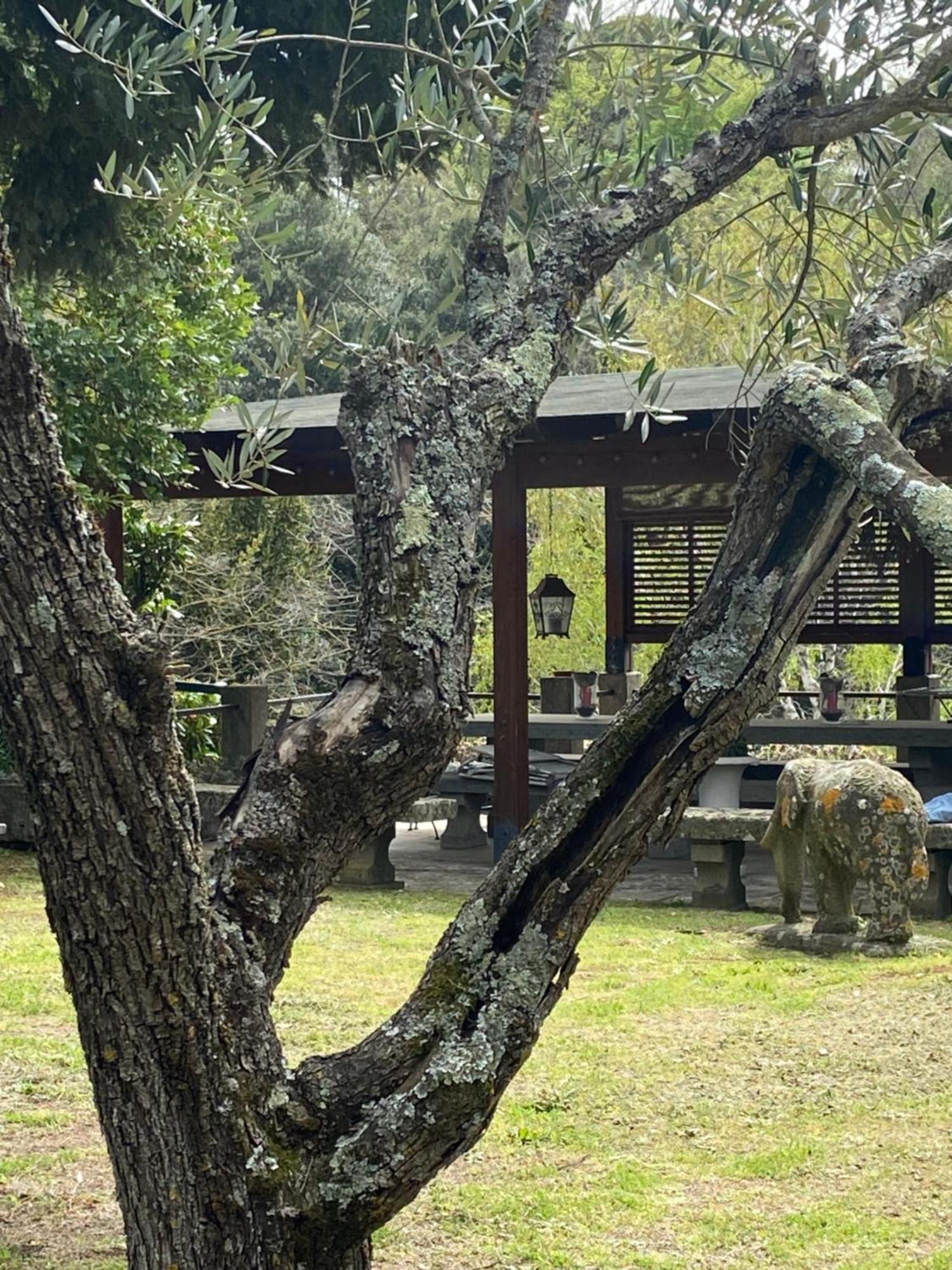 Il Castelletto Della Palanzana Villa Viterbo Exteriör bild